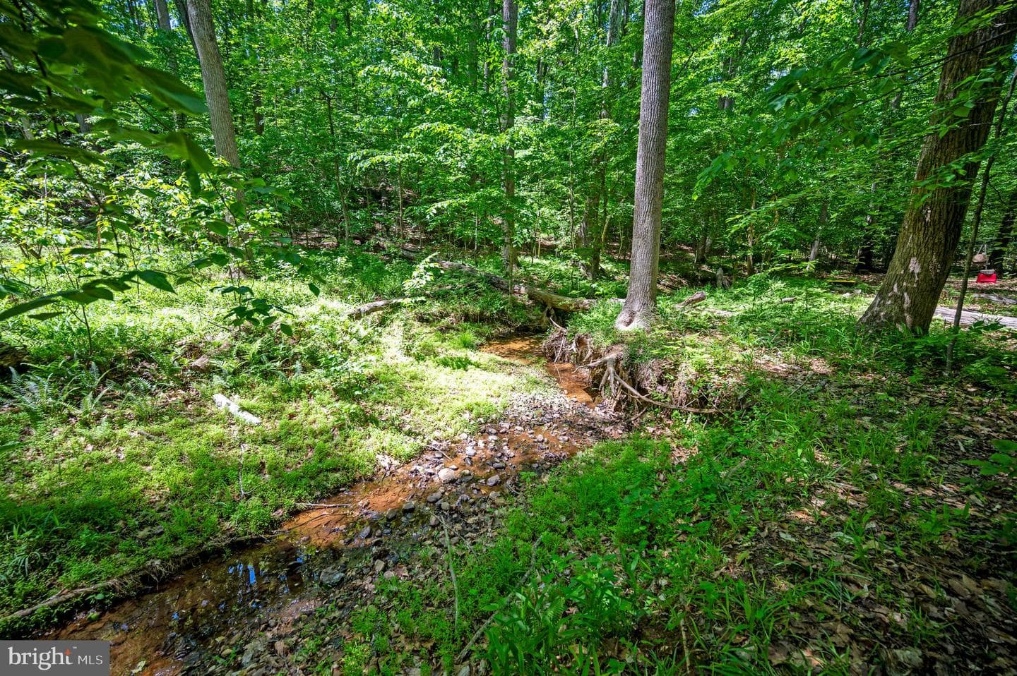 131 Arden Ln photo 80