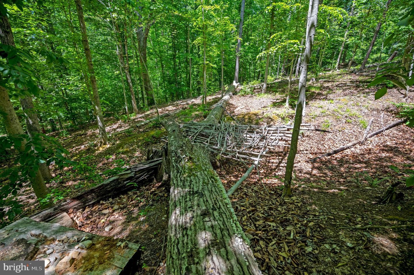 131 Arden Ln photo 81