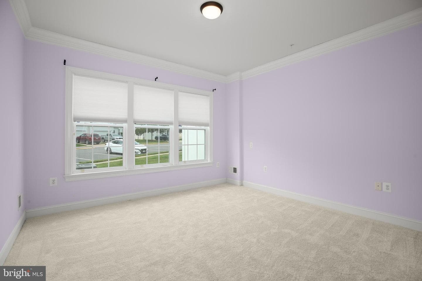 163 Castle Hill Drive photo 20