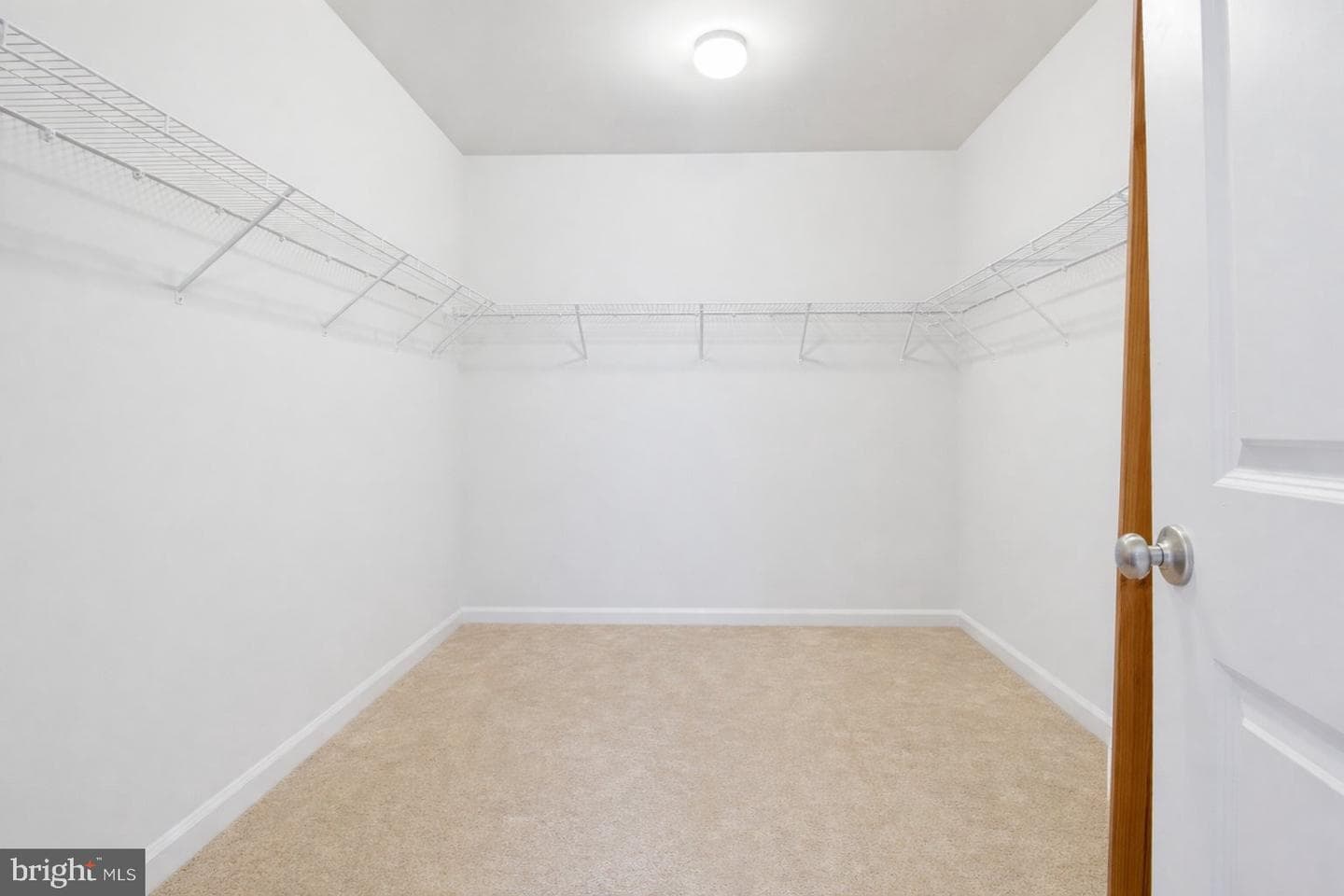 208 Coneflower Lane photo 18