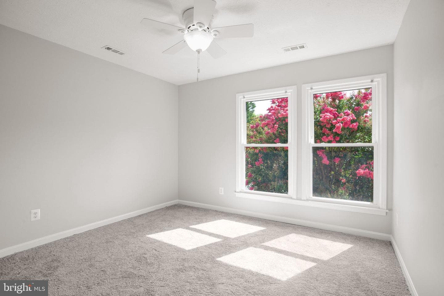 89 Cleremont Drive photo 28