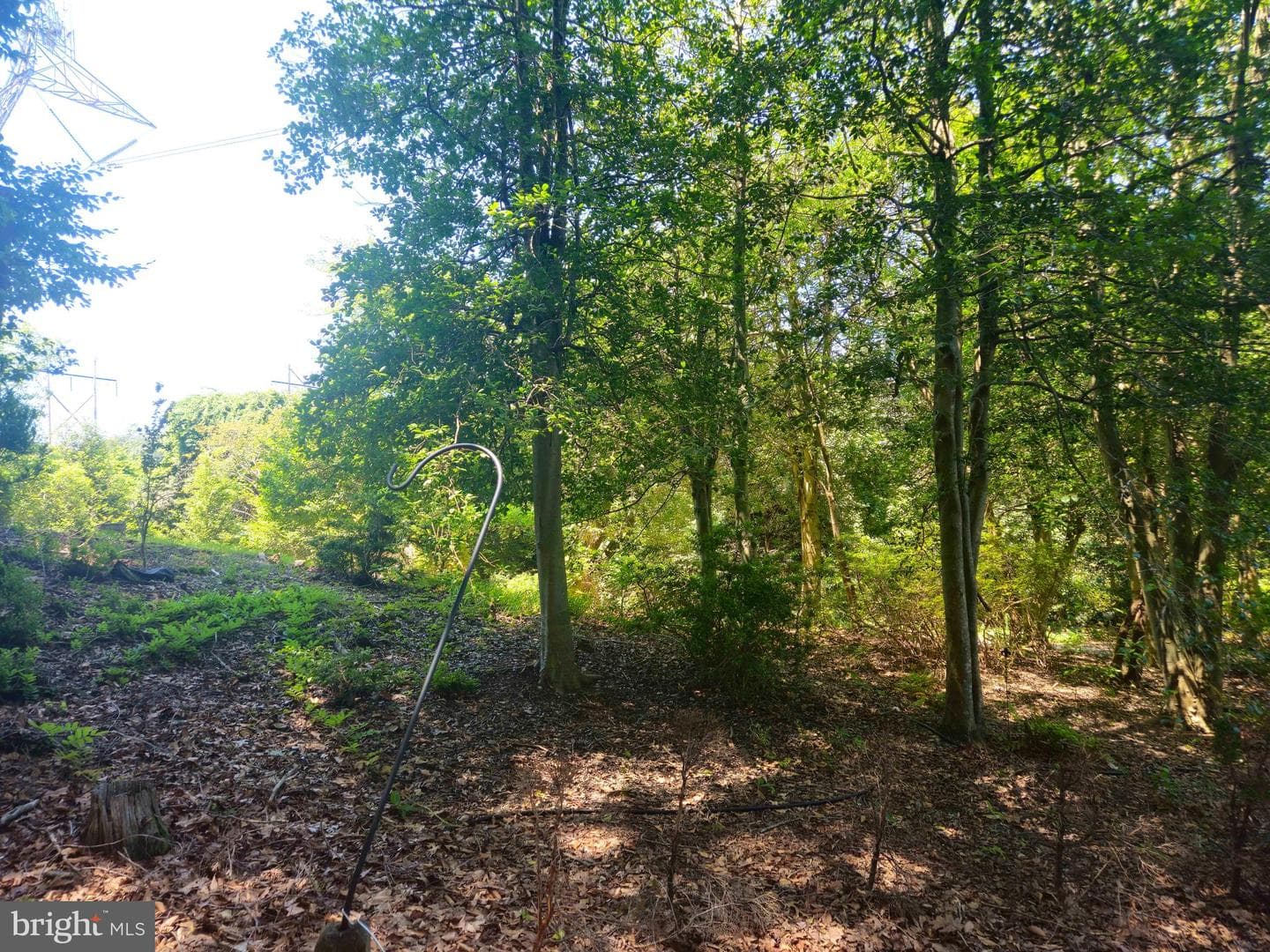 159 Olde Concord Road photo 75