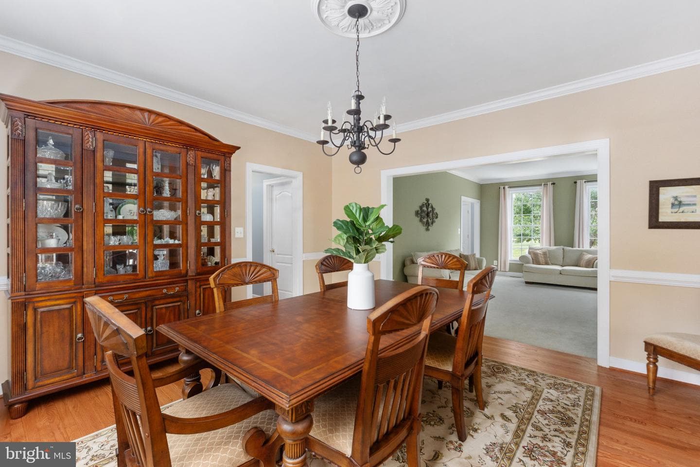 17 Brannigan Drive photo 17