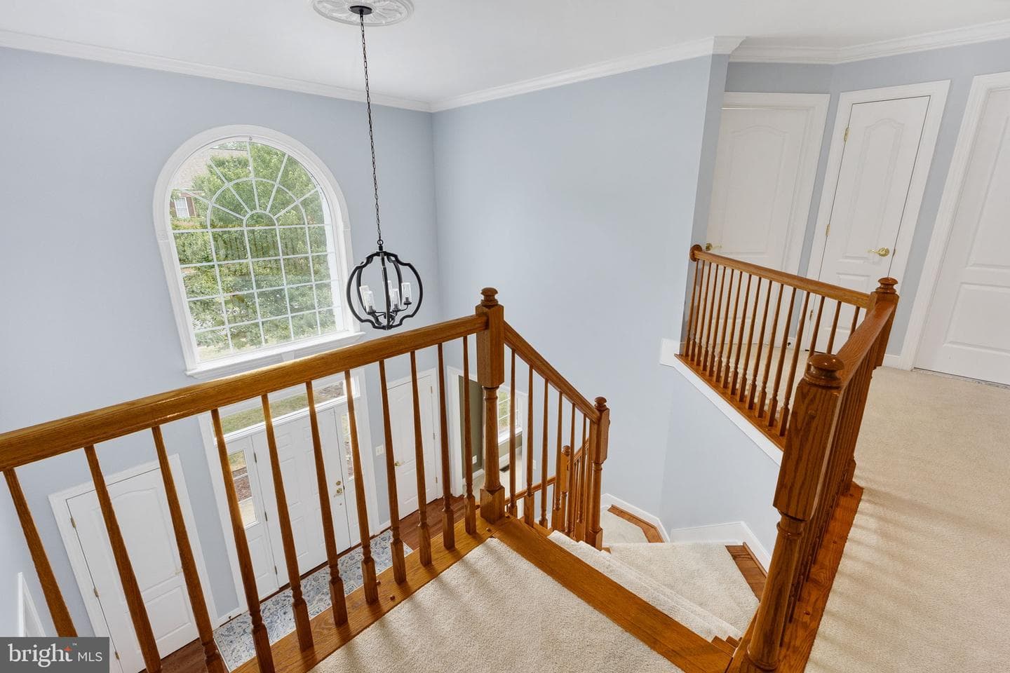 17 Brannigan Drive photo 28