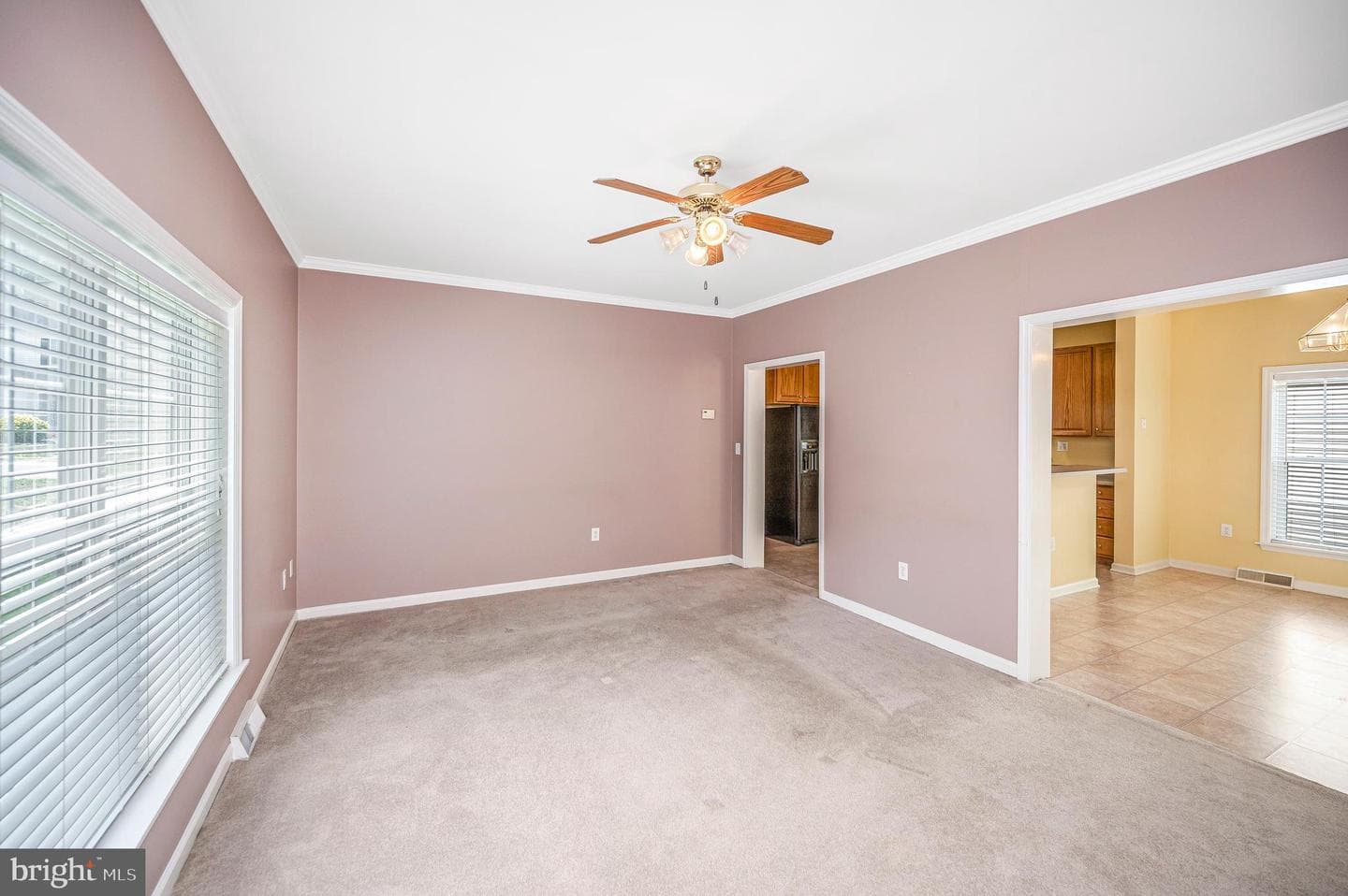 45 Denali Dr photo 20