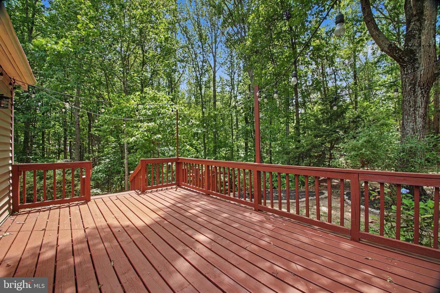 205 Gull Cove photo 39