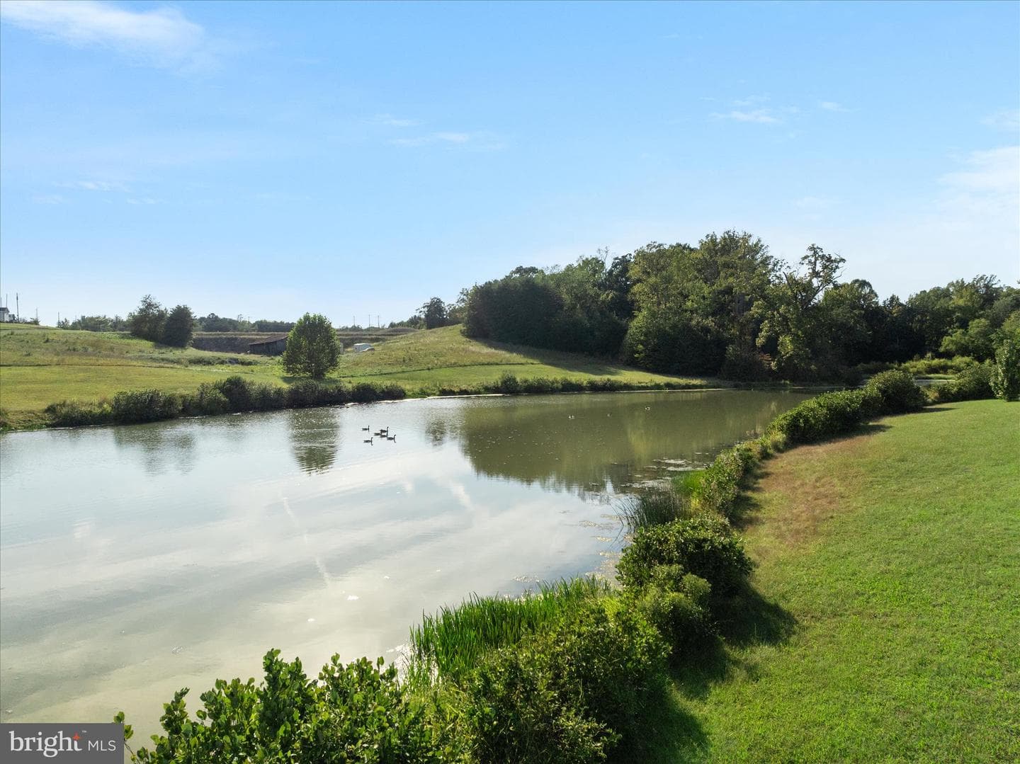 250 Lerose Drive photo 49