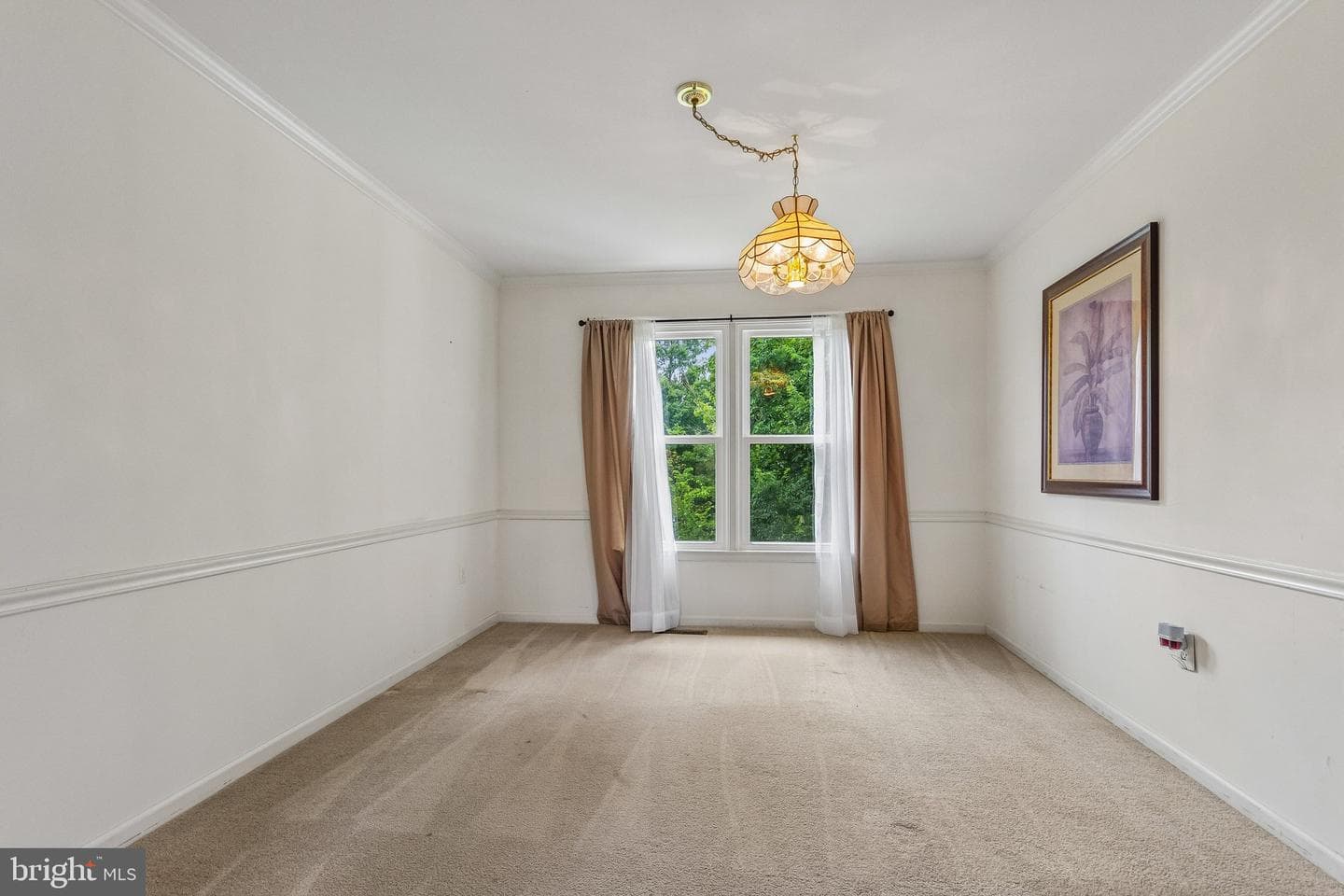 3 Neville Court photo 20