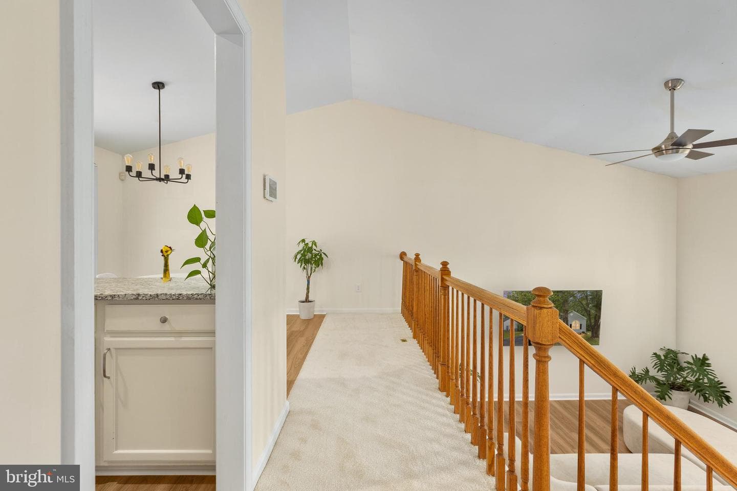 43 Cherry Laurel Dr photo 19