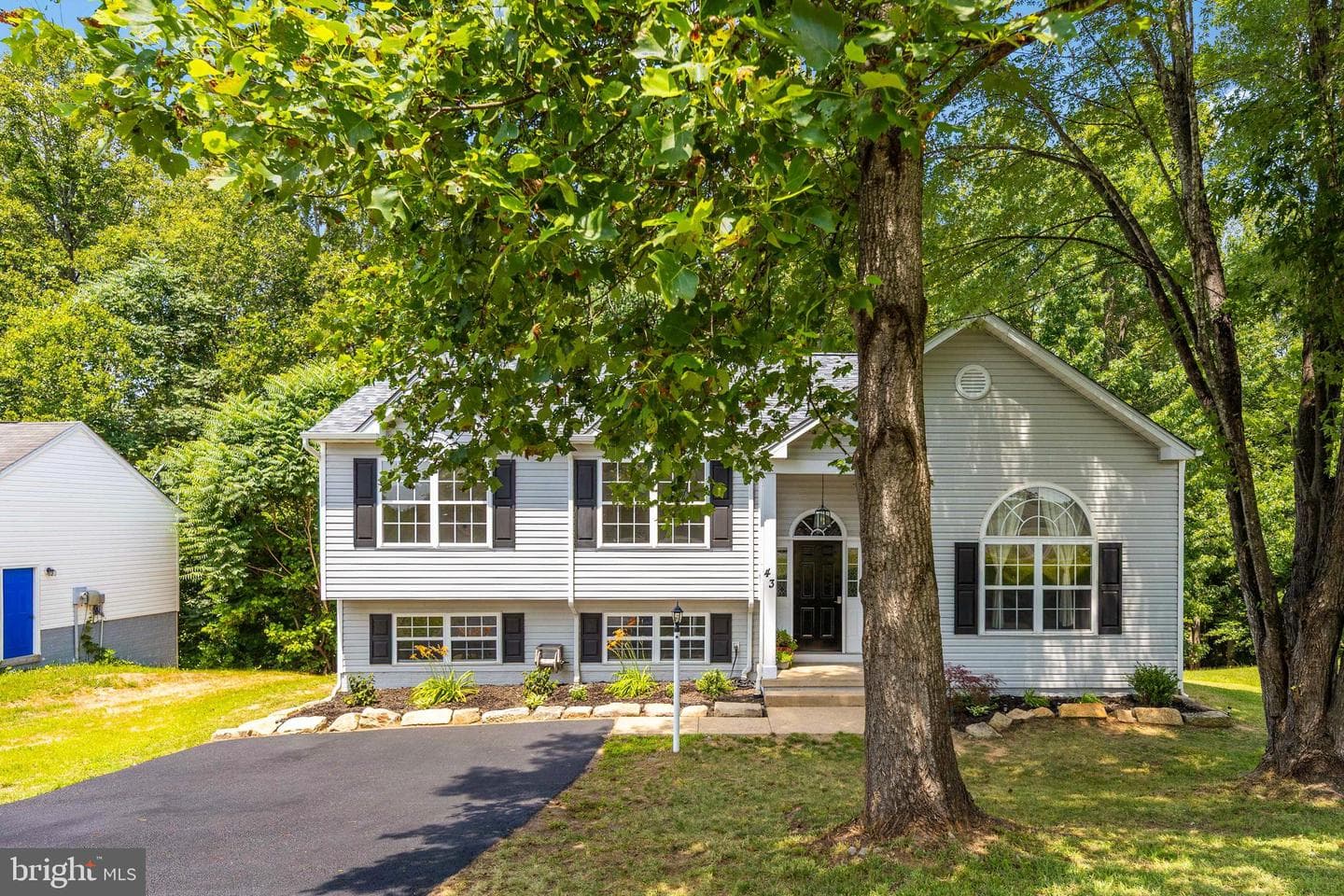 43 Cherry Laurel Dr photo 3