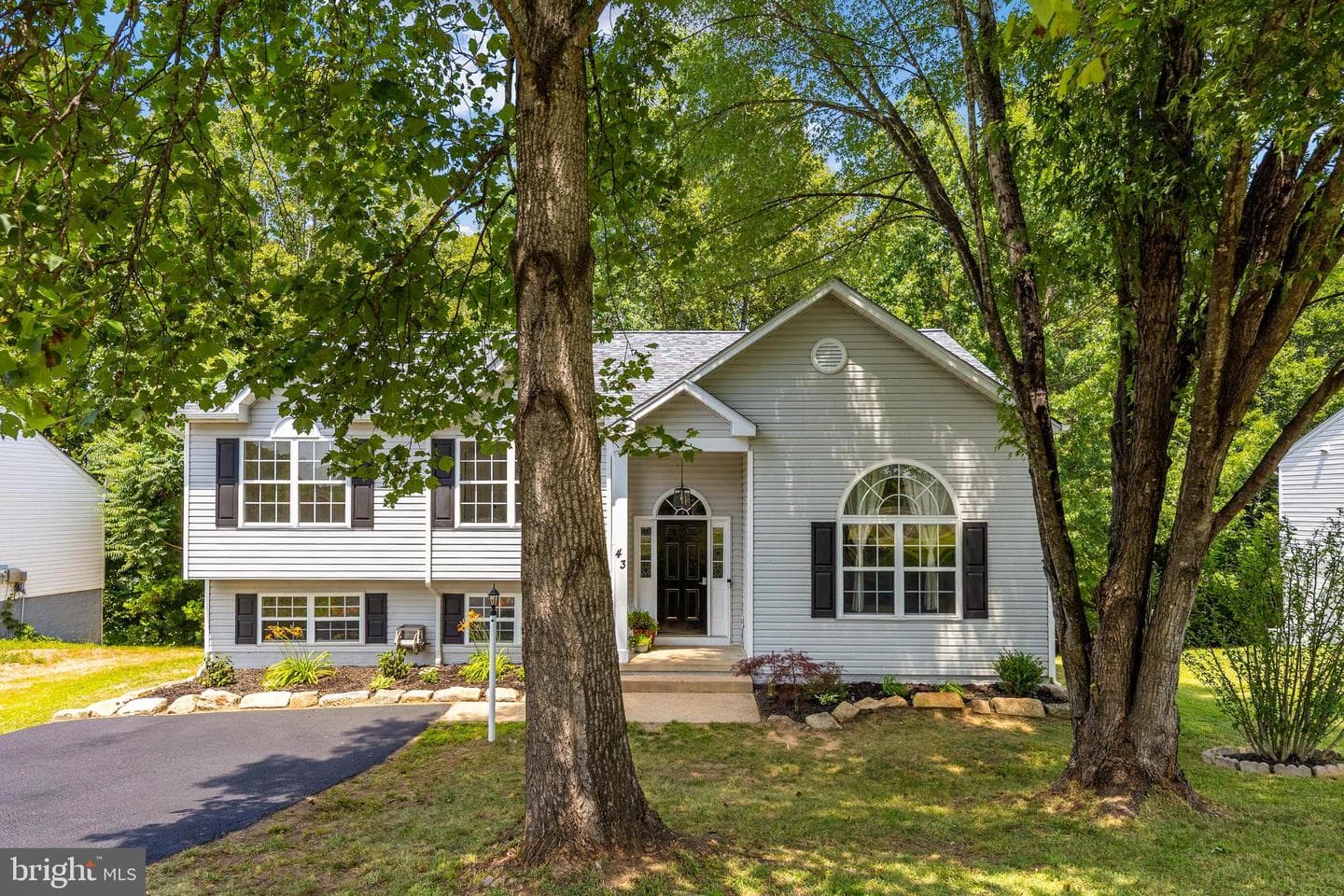 43 Cherry Laurel Dr photo 5