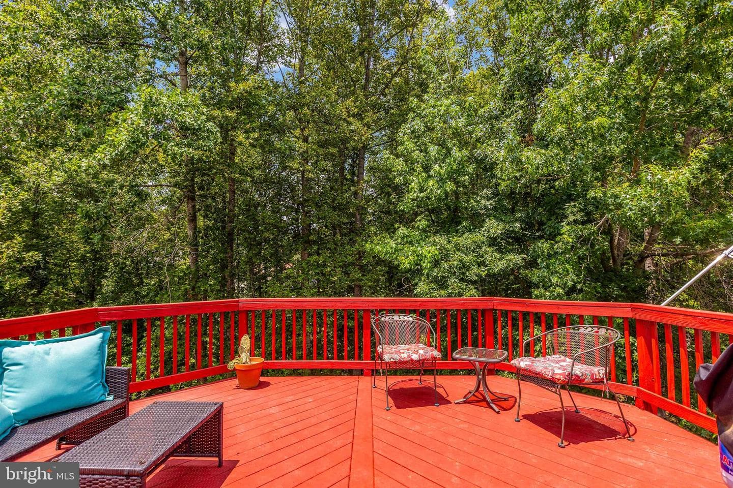 43 Cherry Laurel Dr photo 56