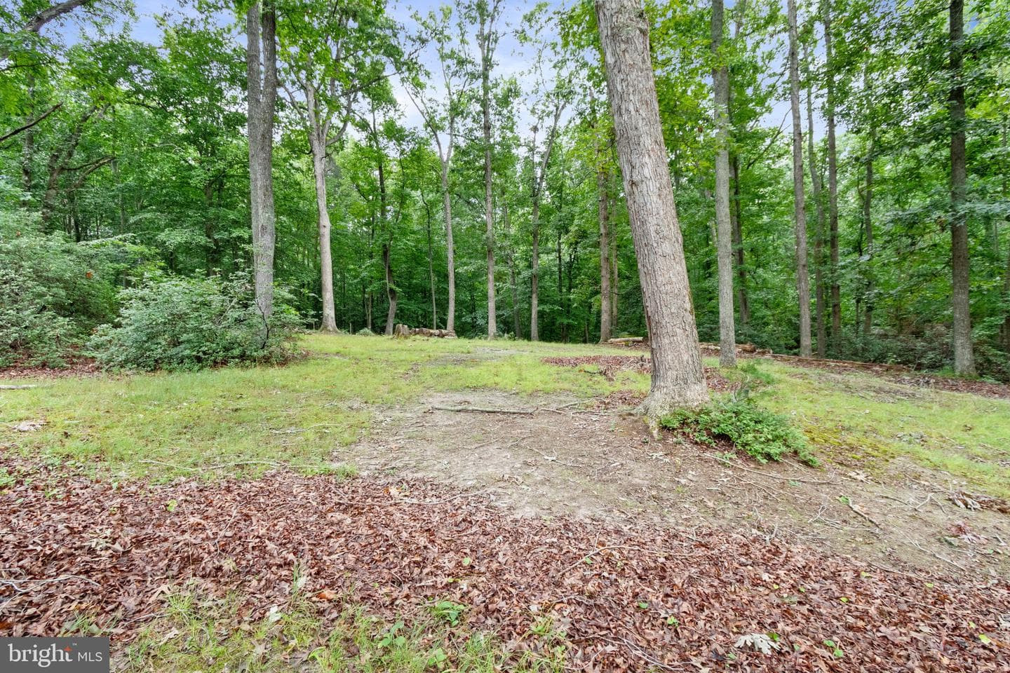 55 Snowbird Lane photo 51
