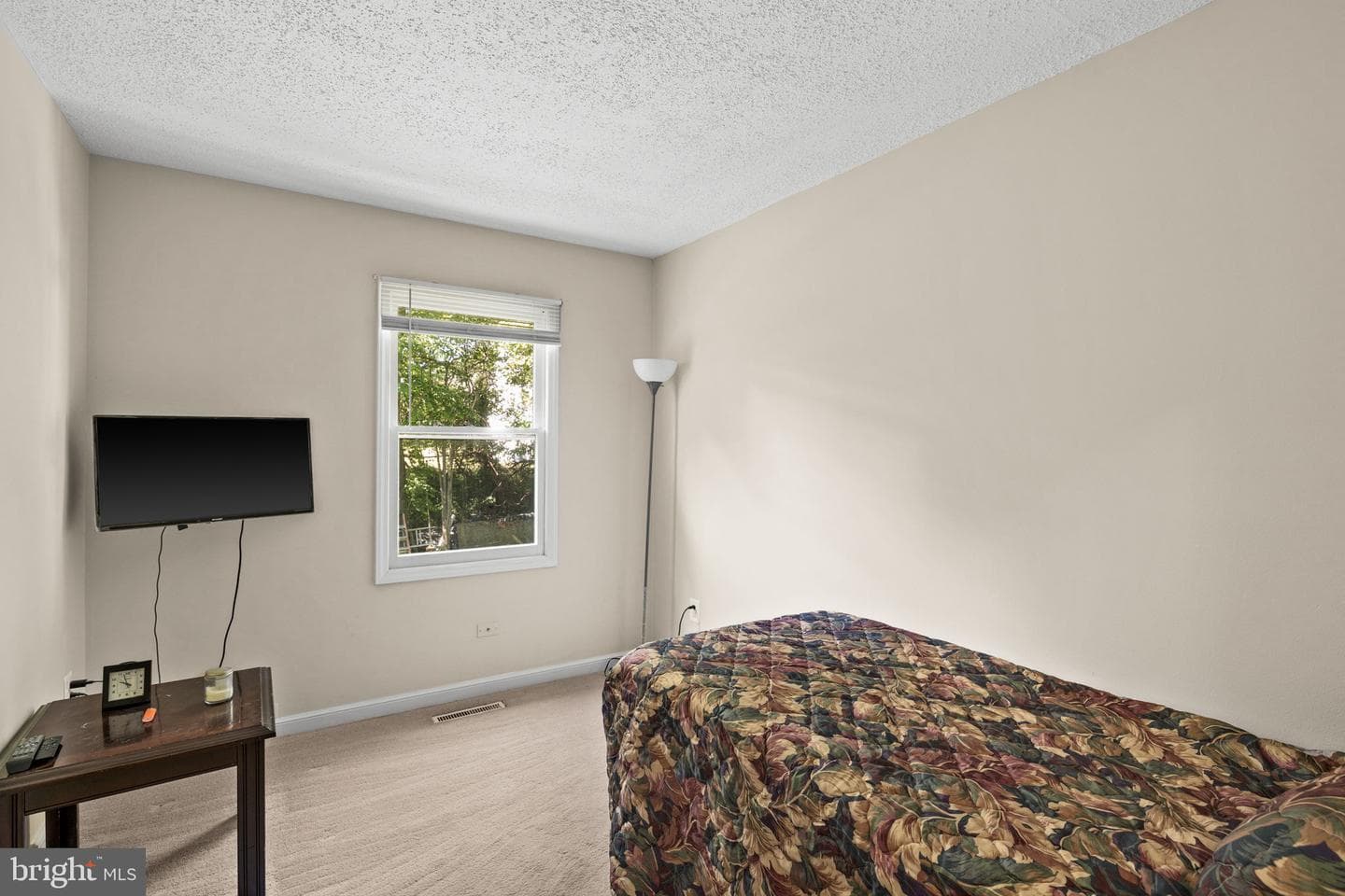 303 Via De Rosa Dr photo 11