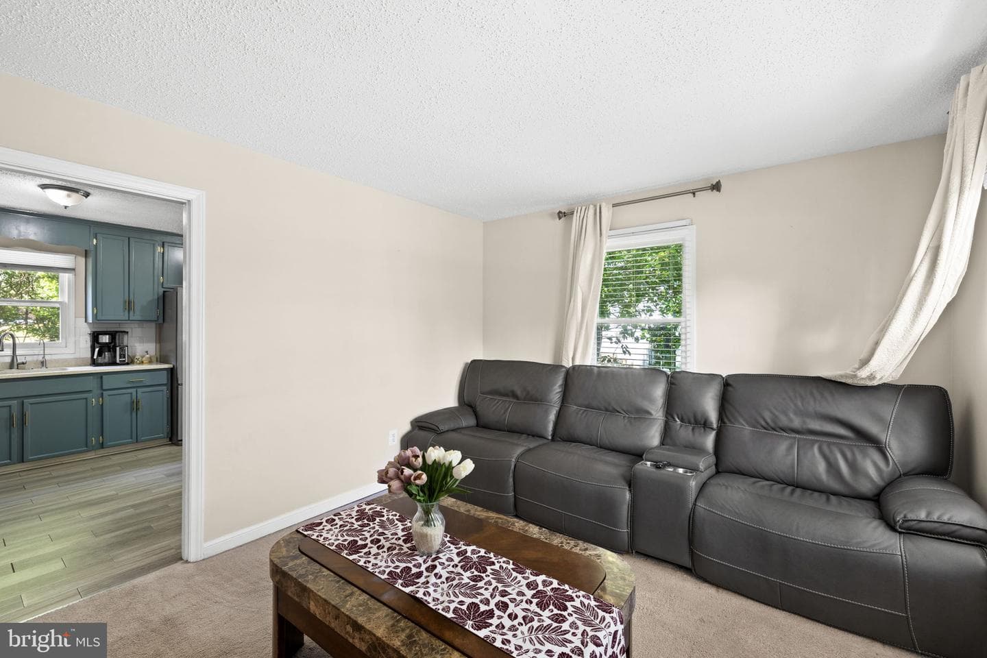 303 Via De Rosa Dr photo 14
