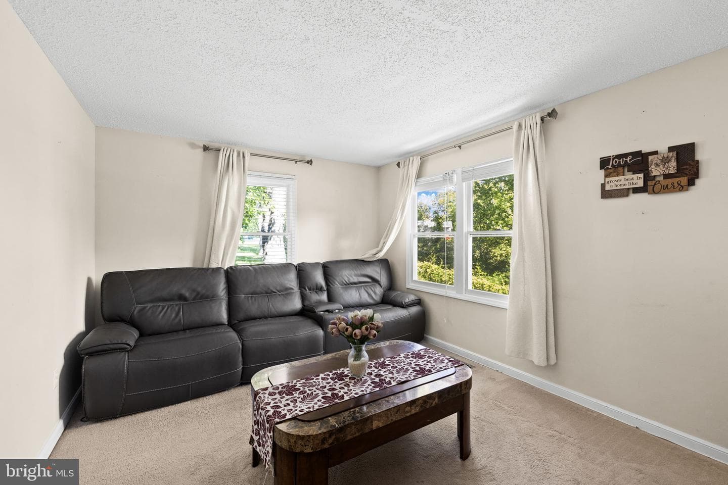 303 Via De Rosa Dr photo 15