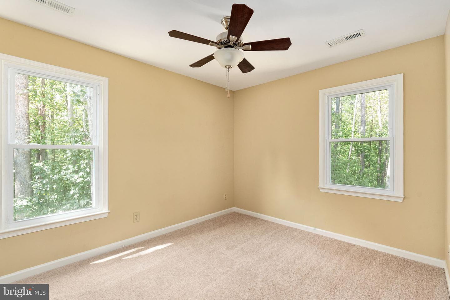 4 Cannon Knolls Dr photo 26