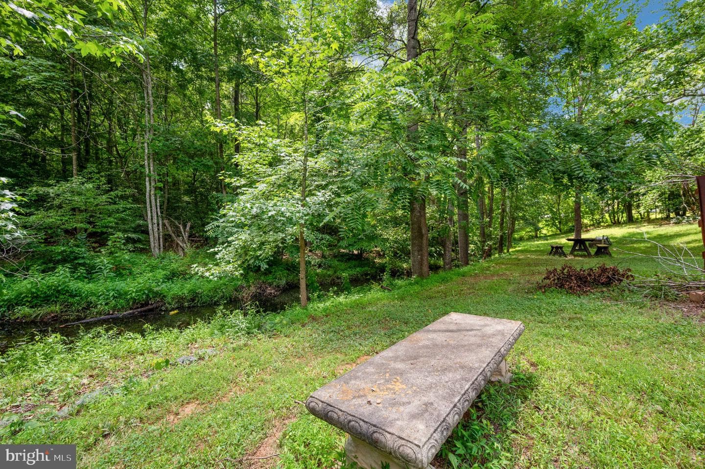 368 Eustace Road photo 53