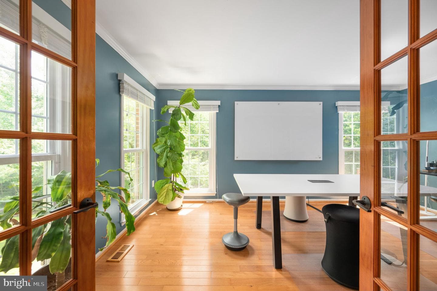 368 Eustace Road photo 6