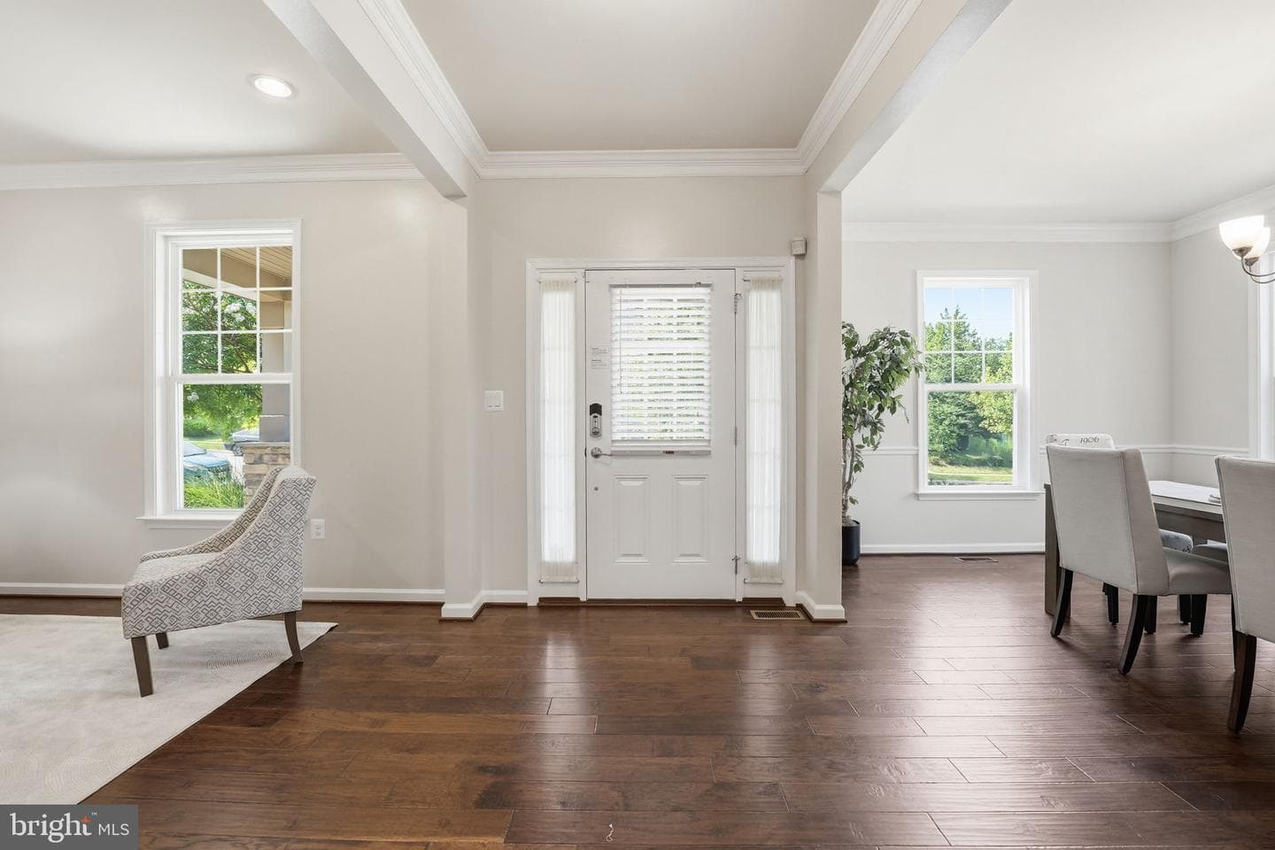 428 Alder Drive photo 6