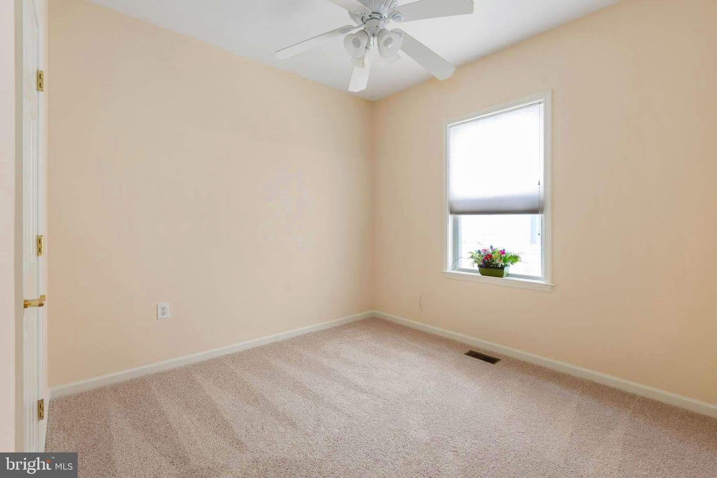 22 Chantilly Place photo 27
