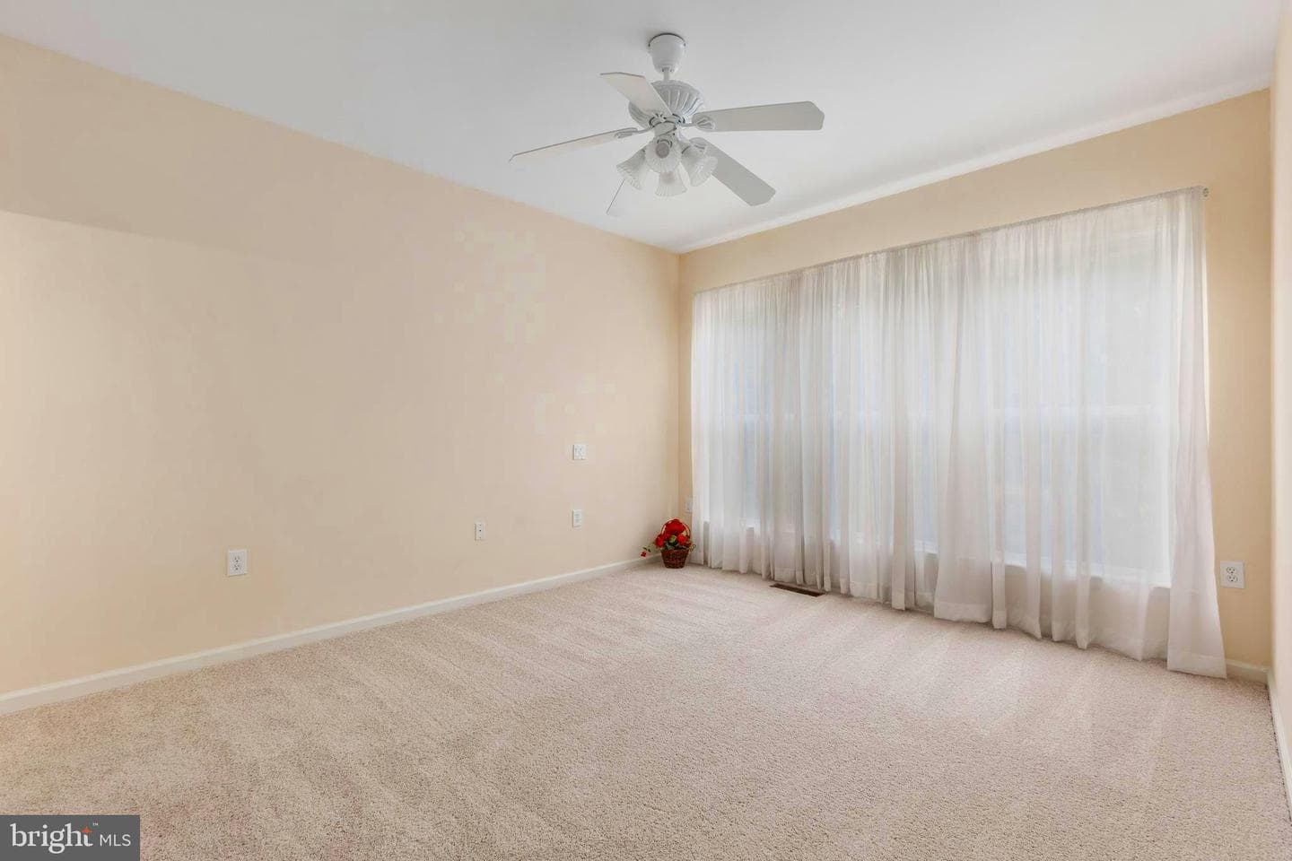 22 Chantilly Place photo 47