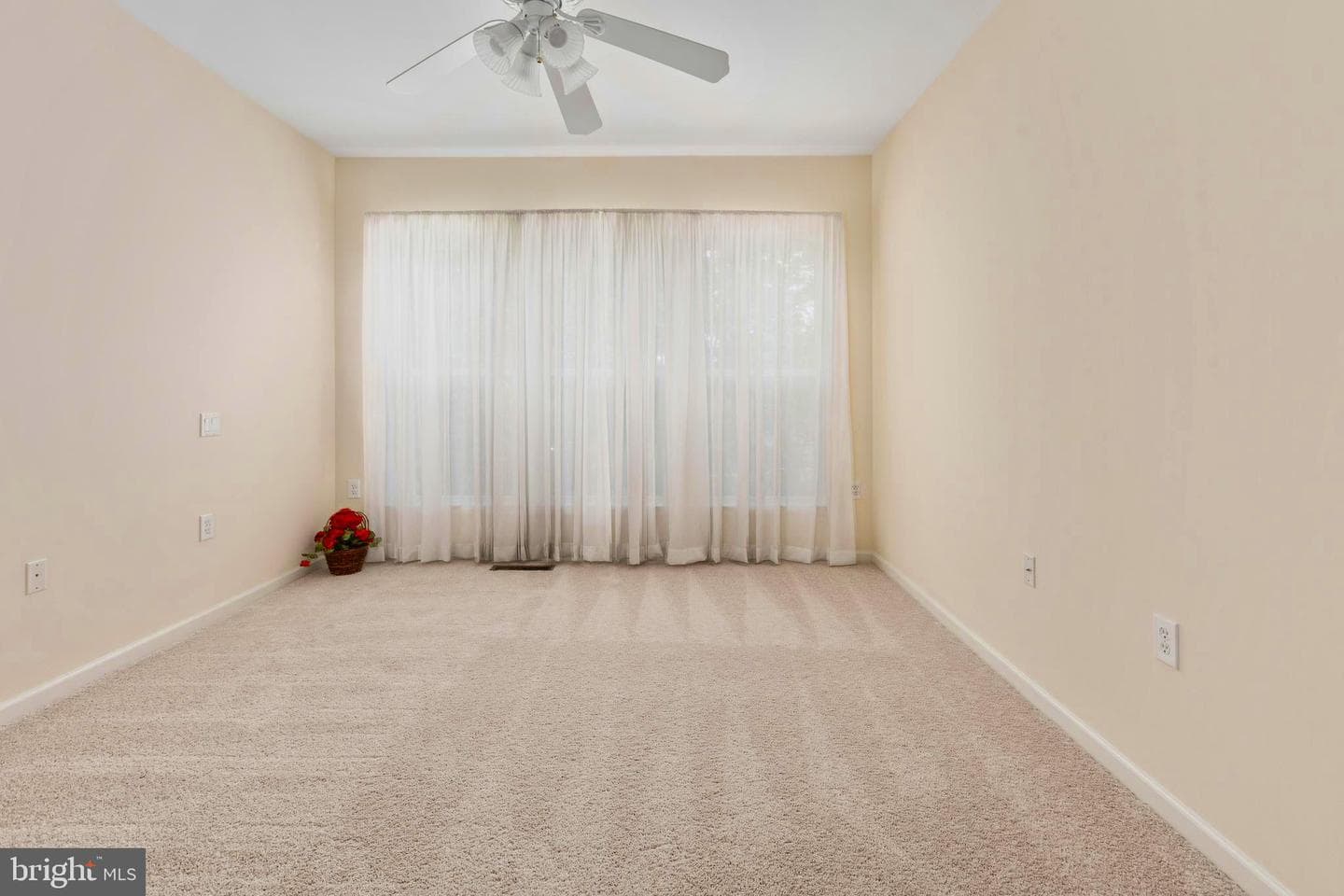 22 Chantilly Place photo 48