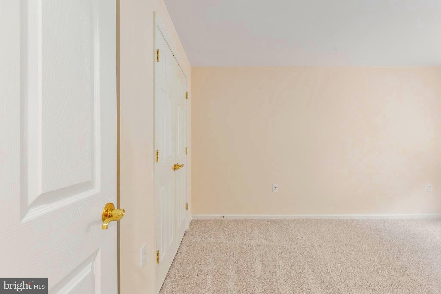 22 Chantilly Place photo 59
