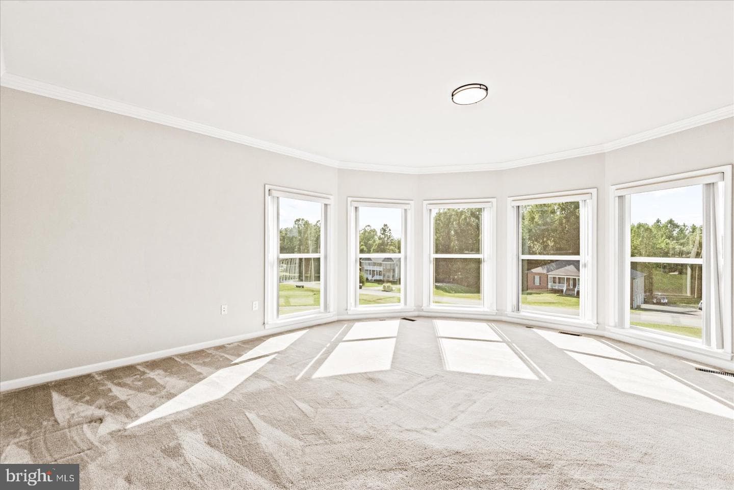 19 Pinto Lane photo 14