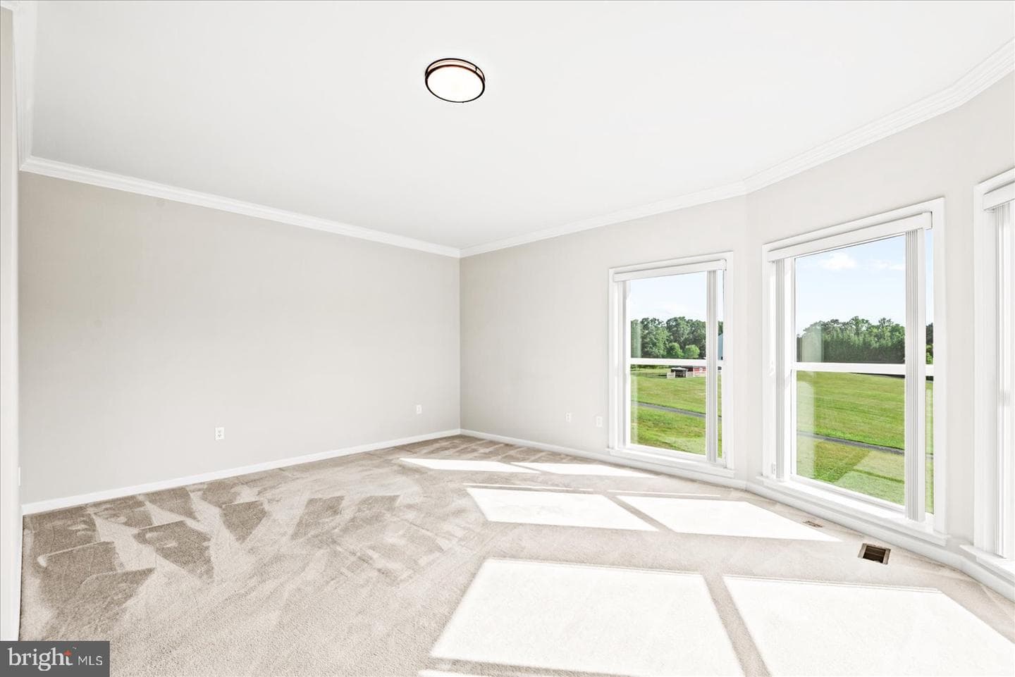 19 Pinto Lane photo 16