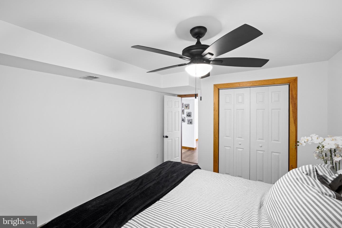 81 Lady Jane Lane photo 41