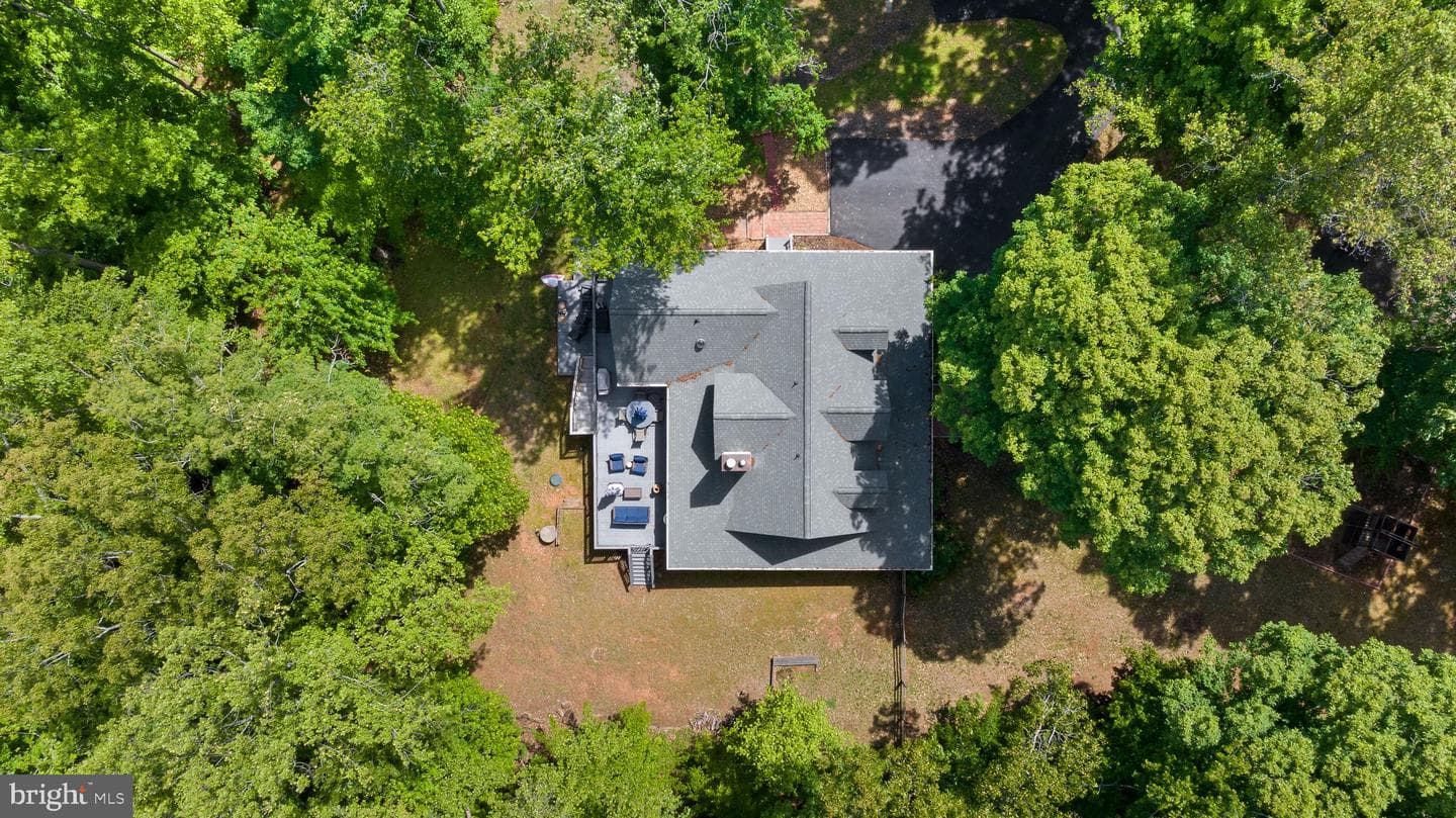 81 Lady Jane Lane photo 46