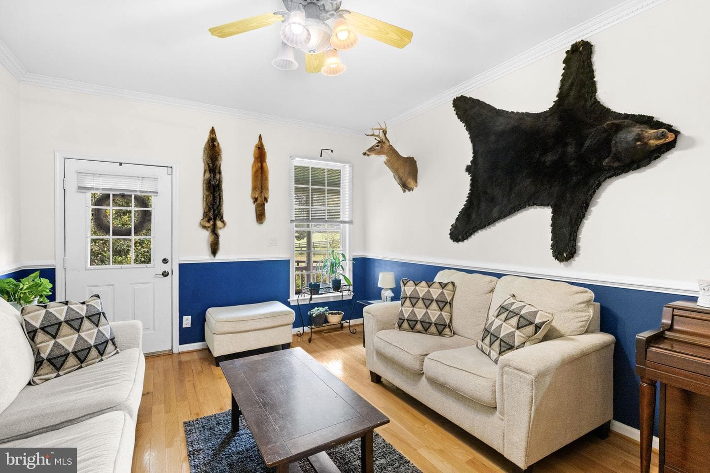 559 Holly Corner Road photo 11