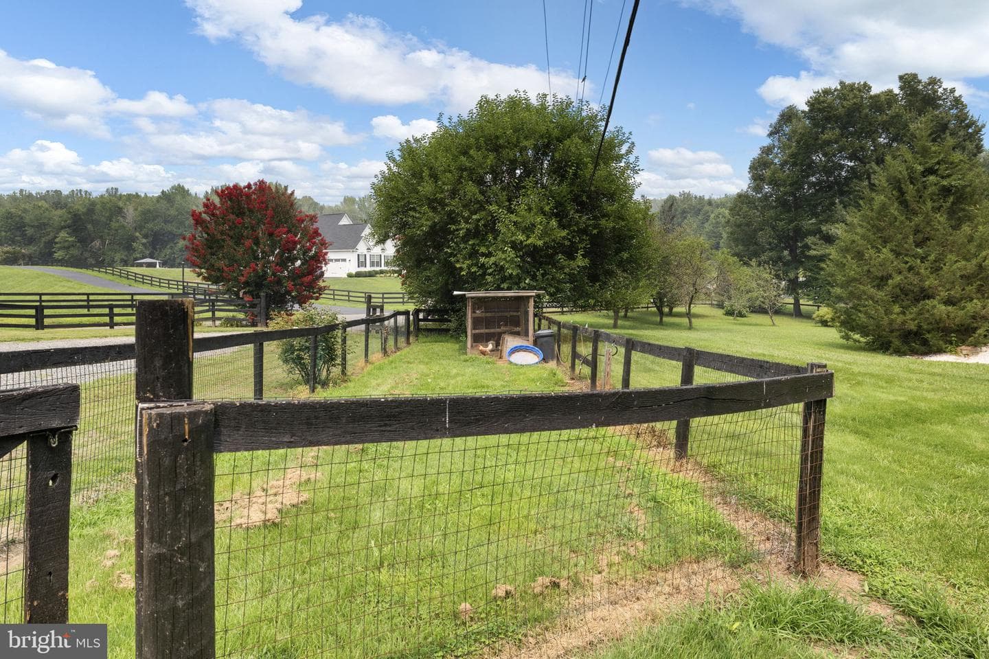 559 Holly Corner Road photo 18