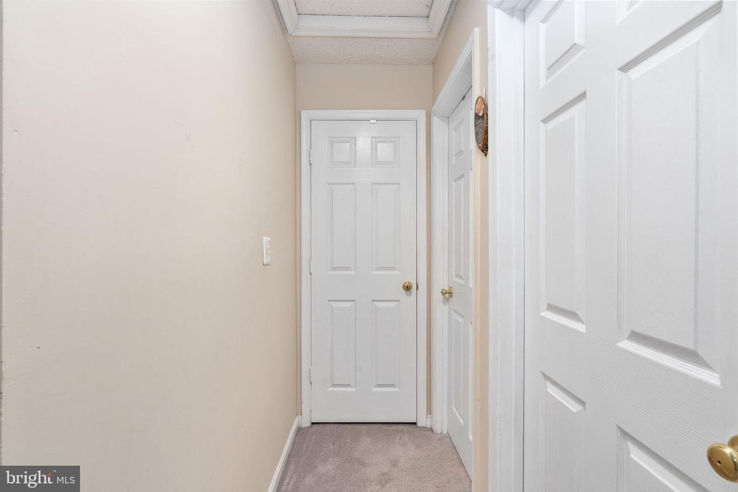 406 Rover Court photo 41