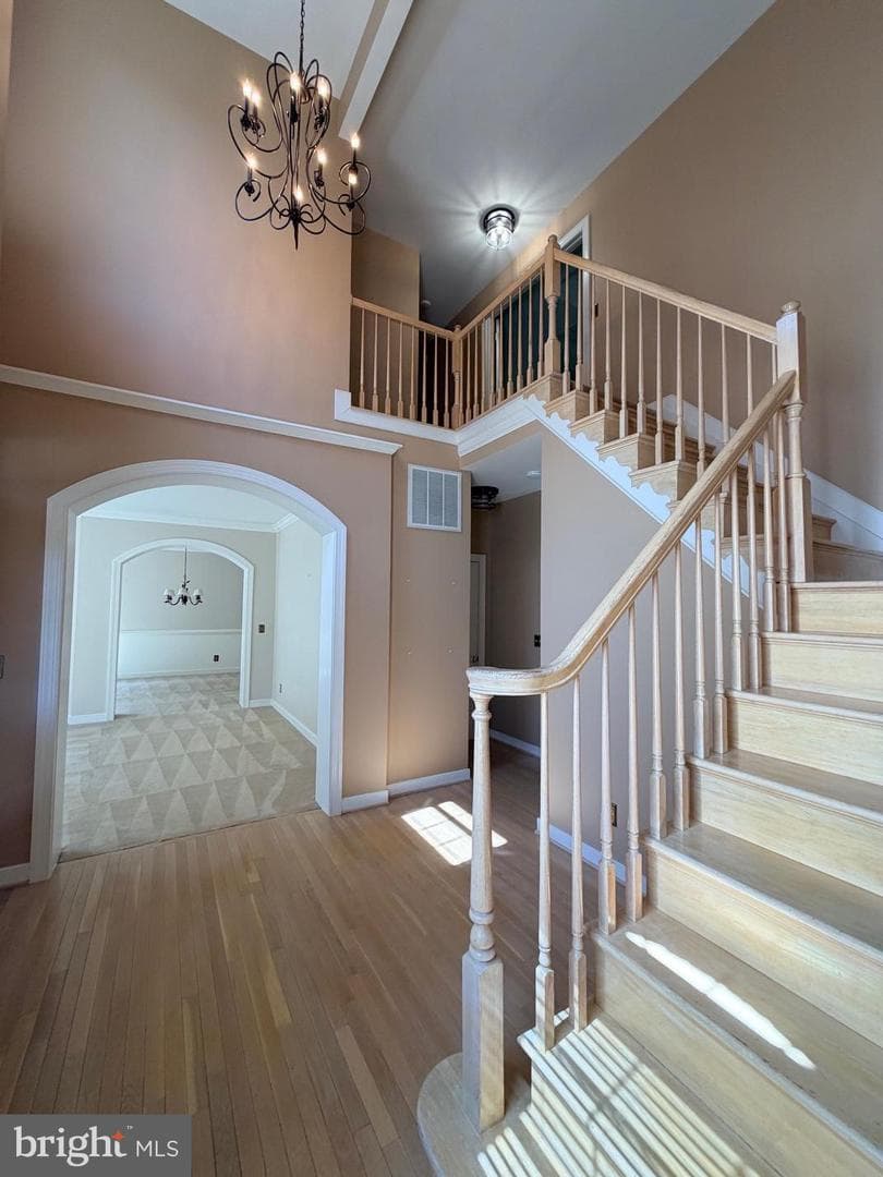 6 Bullrush Court photo 14