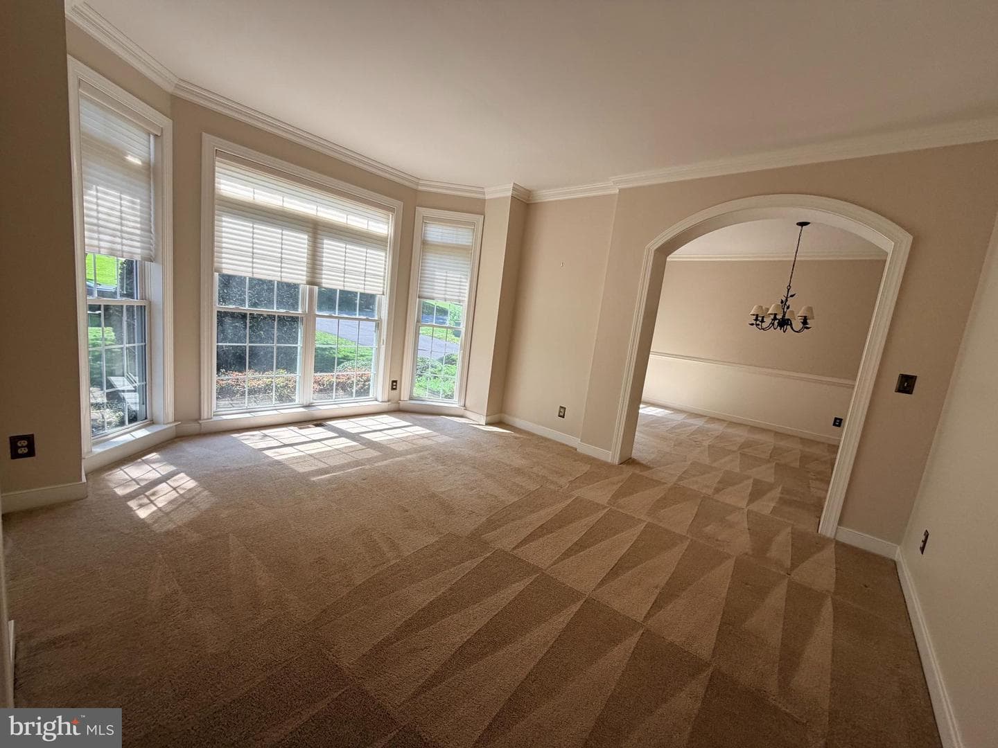 6 Bullrush Court photo 33