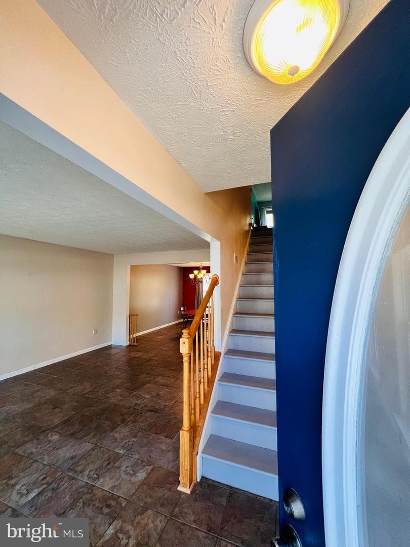 213 Forest Avenue photo 12