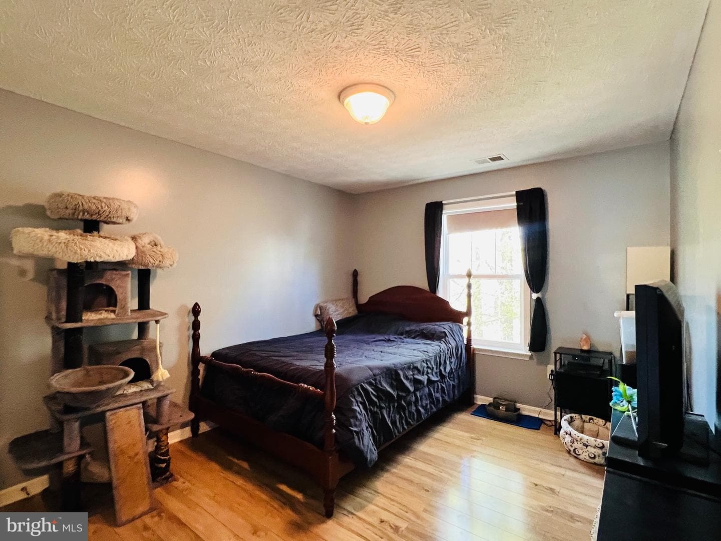 213 Forest Avenue photo 51
