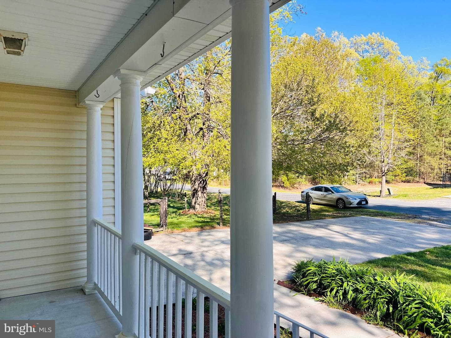 213 Forest Avenue photo 8