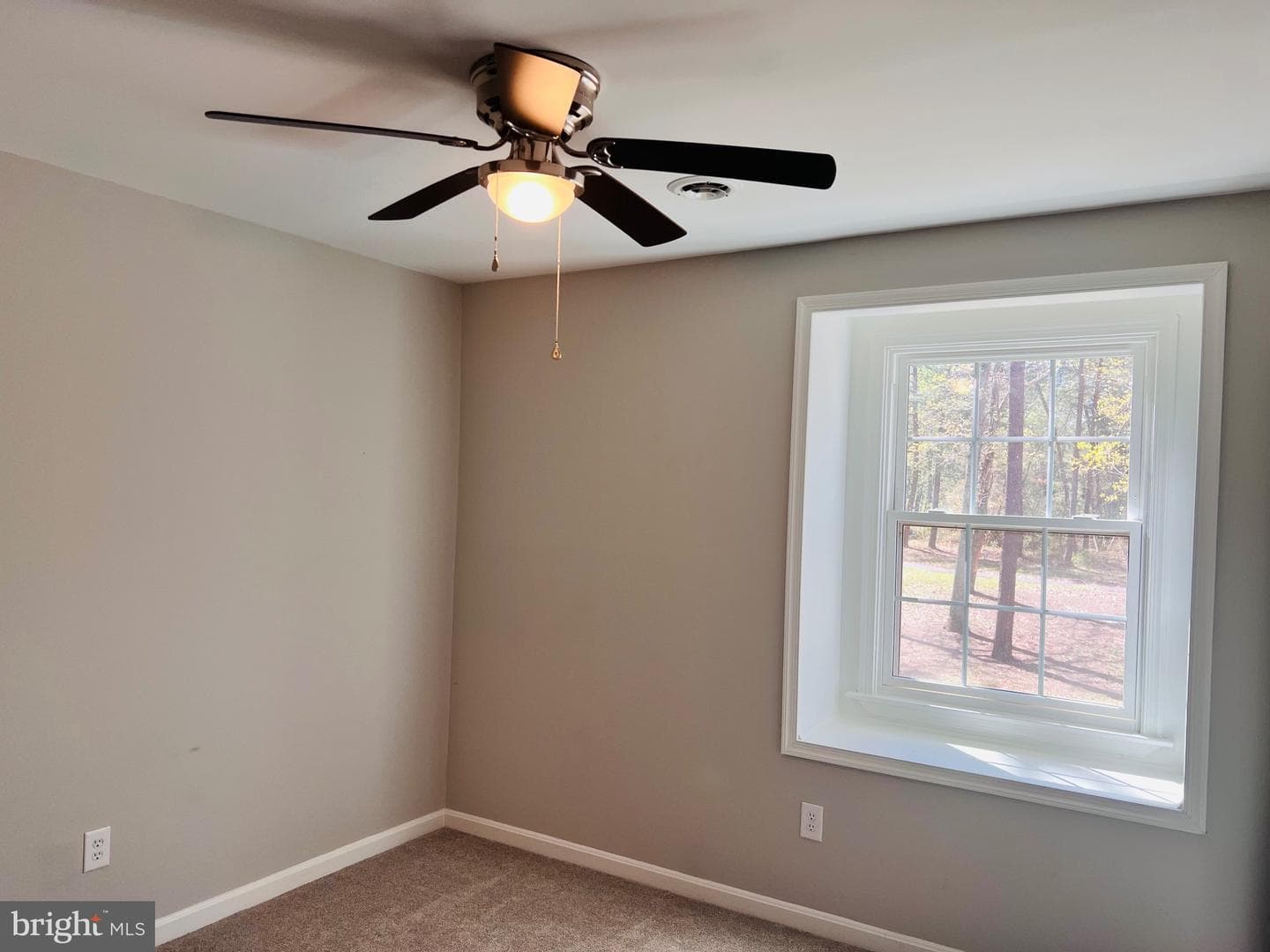 436 Thompson Circle photo 45