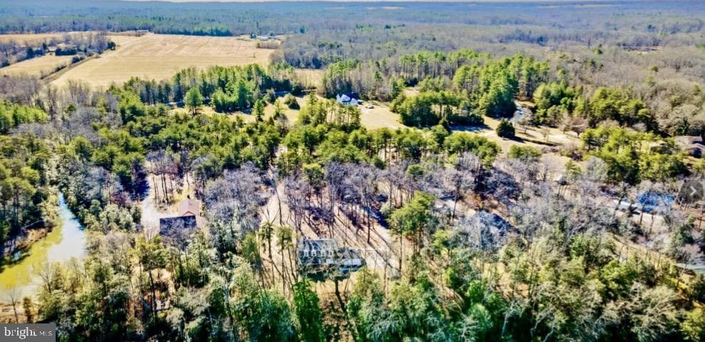 436 Thompson Circle photo 6