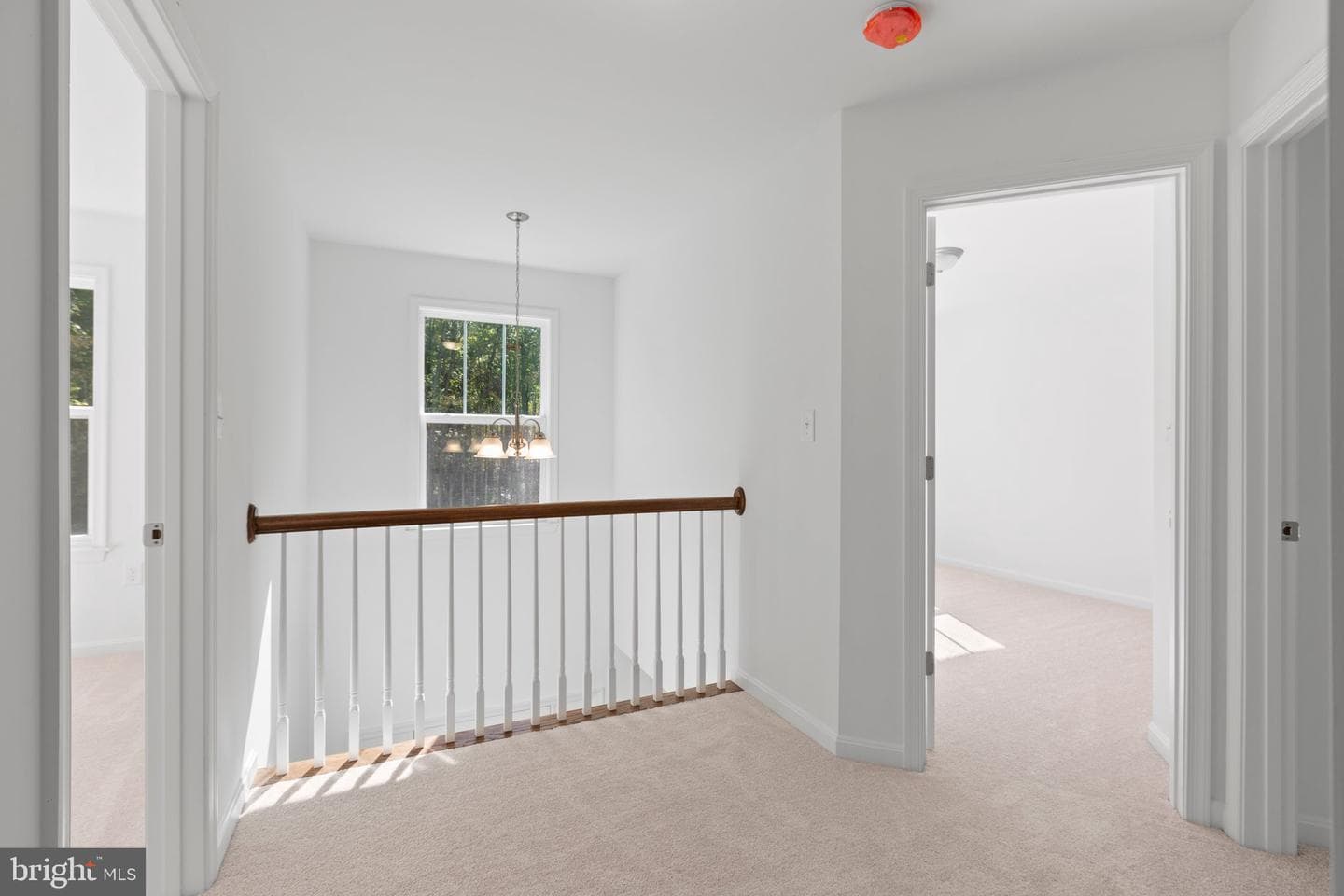 282 Circle Lane photo 23