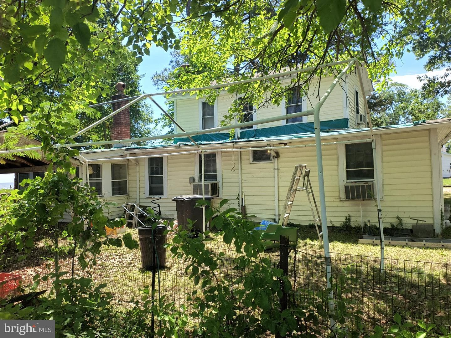 21 Chamberlayne Street photo 4