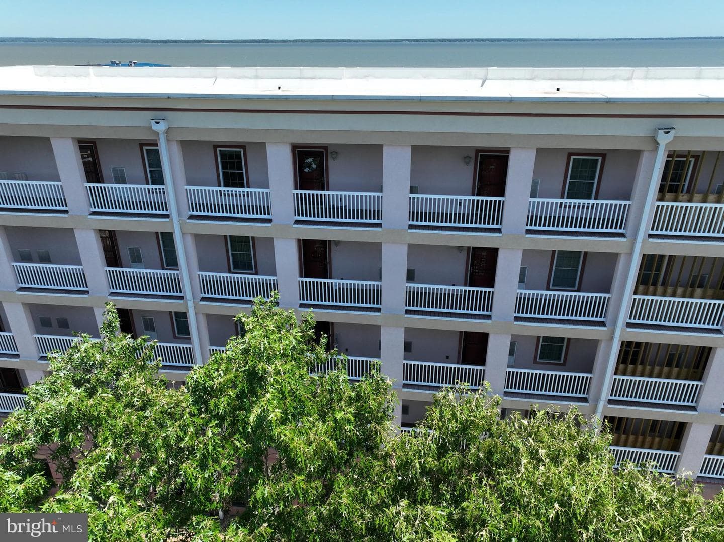 103 N Irving Avenue #404 photo 34