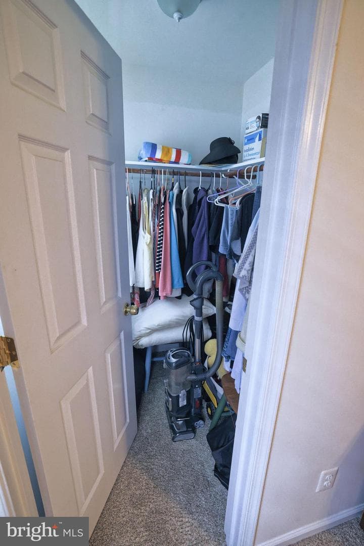 311 Marshall Avenue photo 21