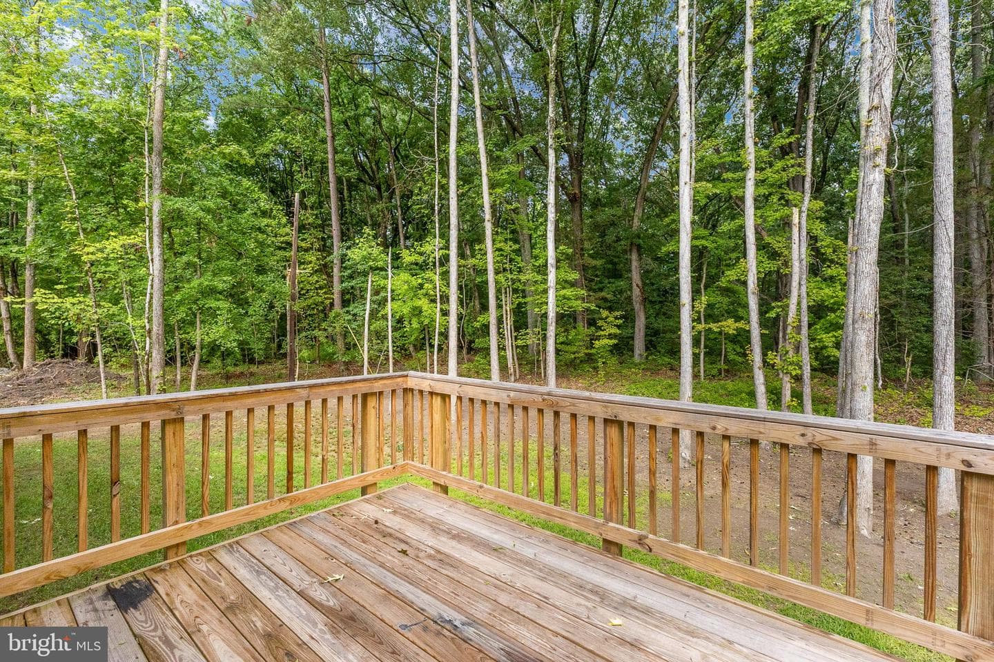 73 Azalea Way photo 47