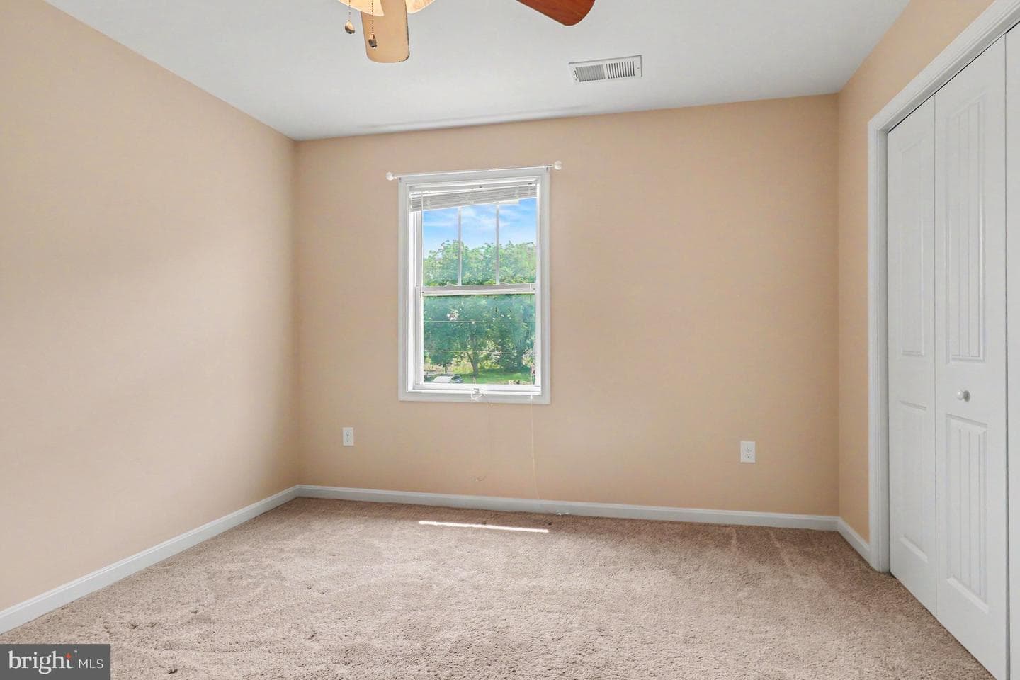 214 Richmond Road photo 27