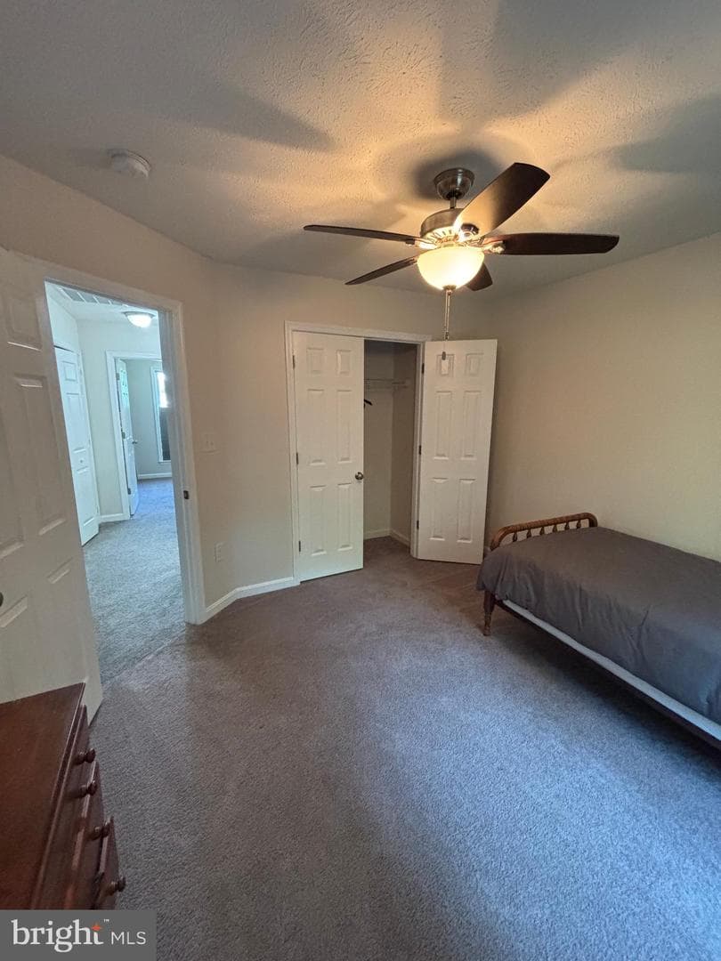 419 Latane Drive photo 20