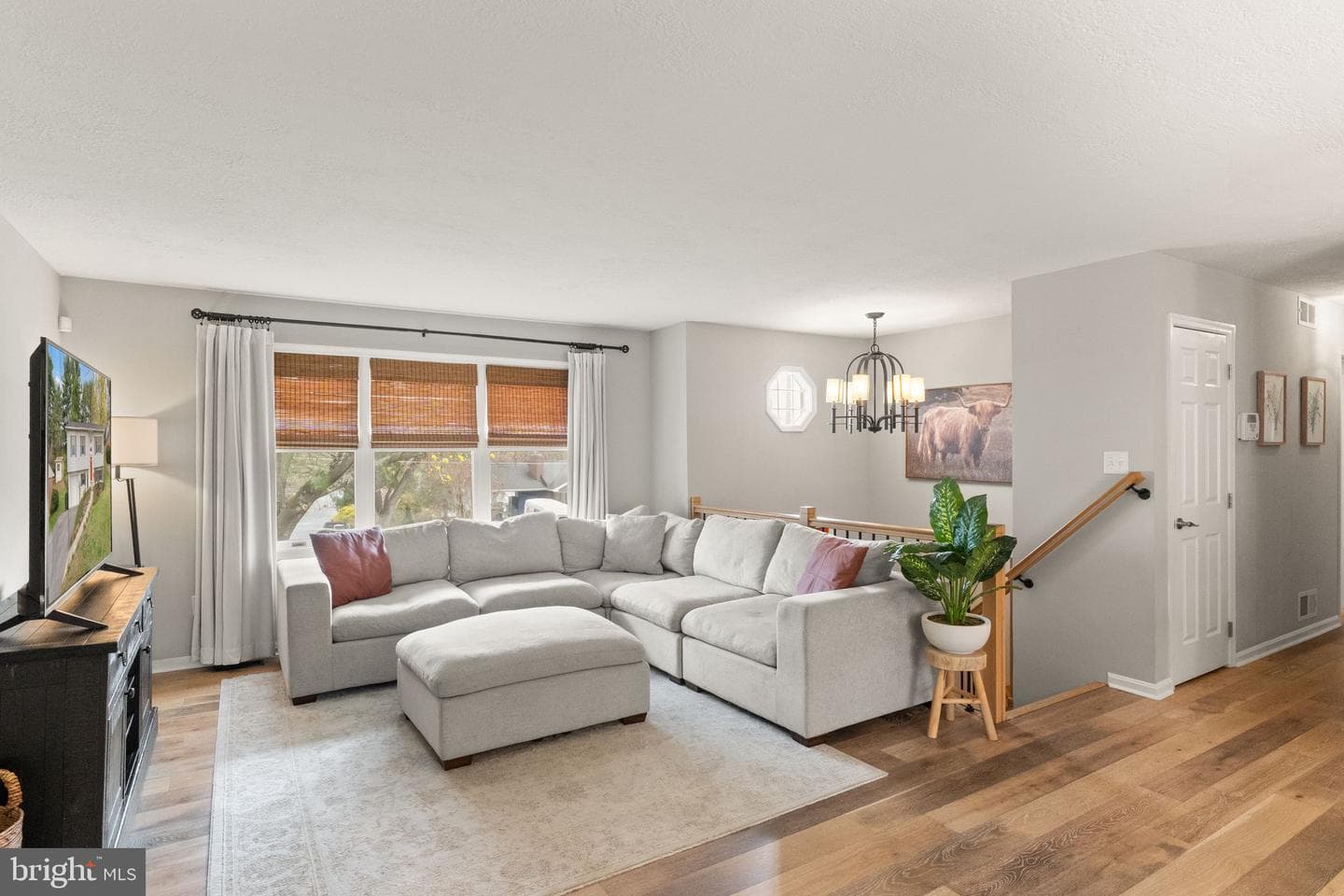 413 George Street photo 10